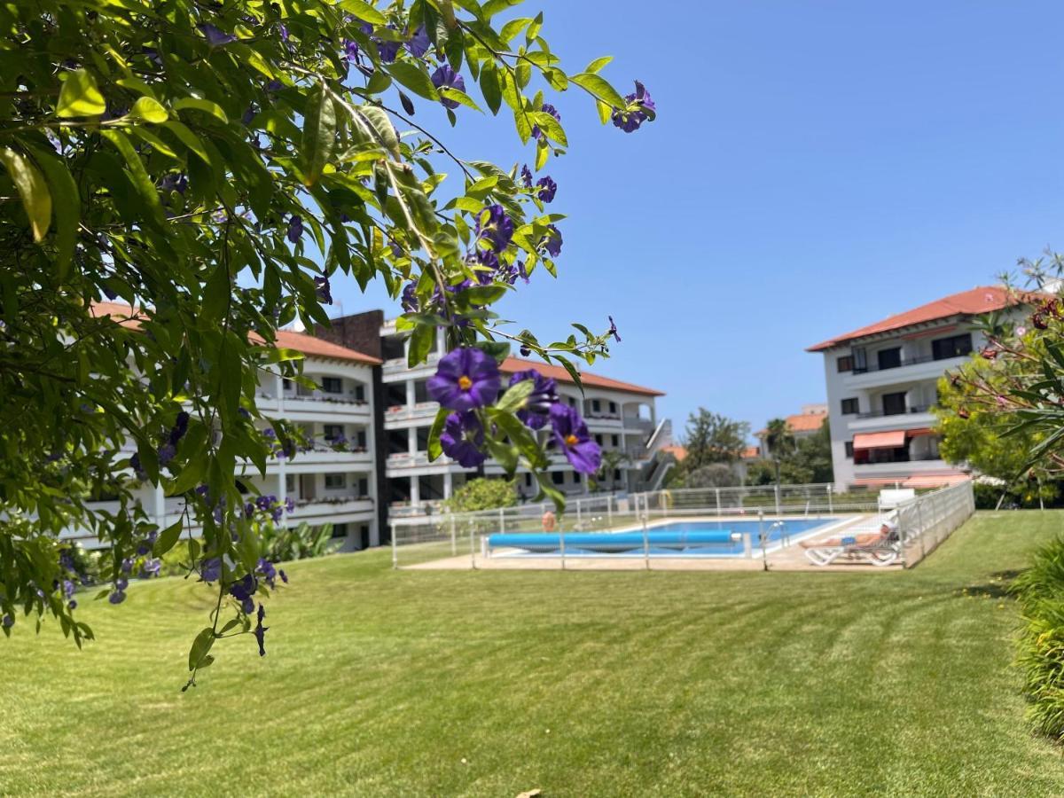 Prime Parque Avoceta Apartment Puerto de la Cruz  Extérieur photo