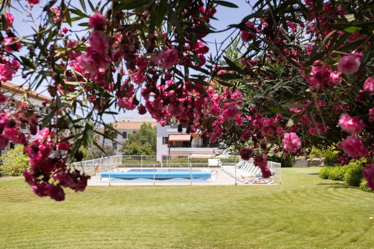 Prime Parque Avoceta Apartment Puerto de la Cruz  Extérieur photo